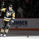 Best Penguins Sweater