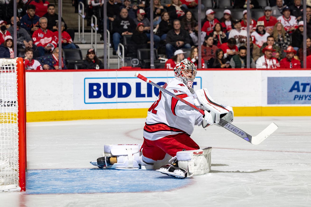 Carolina Hurricanes v Detroit Red Wings
