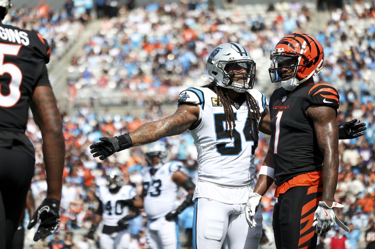 Cincinnati Bengals v Carolina Panthers
