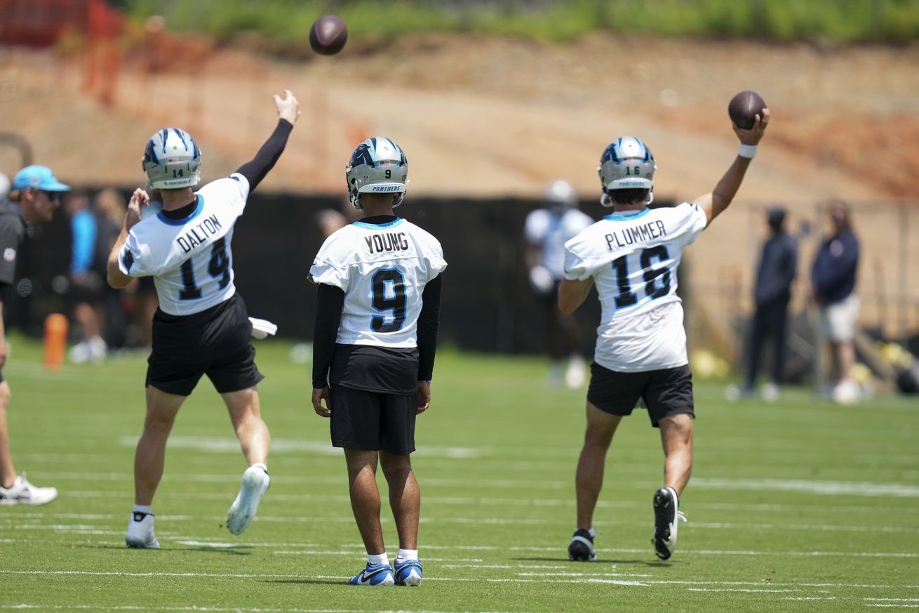 NFL: Carolina Panthers Minicamp